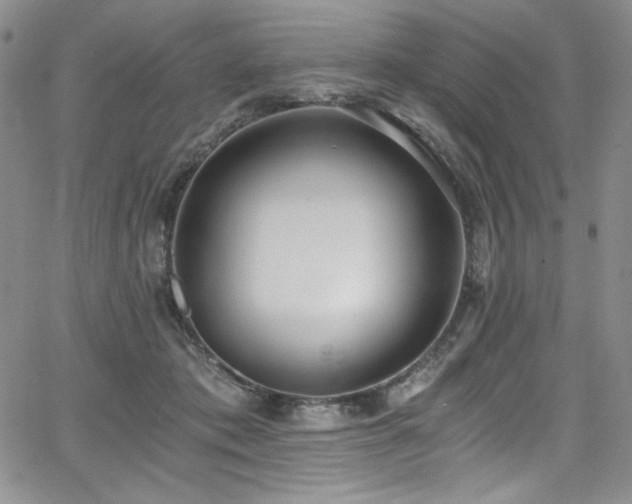 X0000068310413200604211209