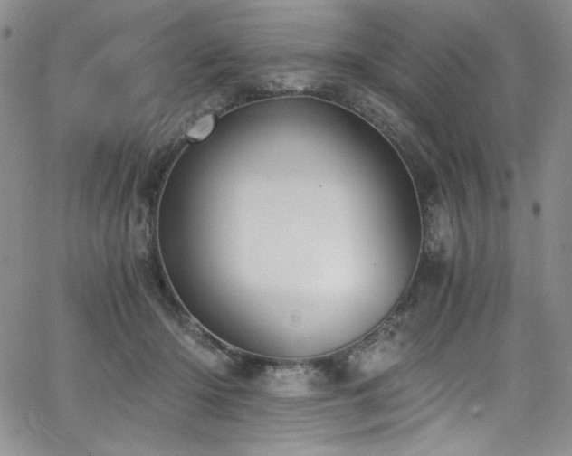 X0000068310414200604211209