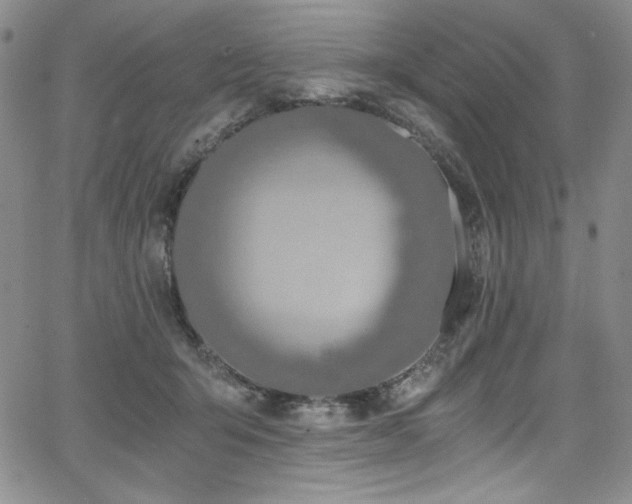 X0000068310415200604211209