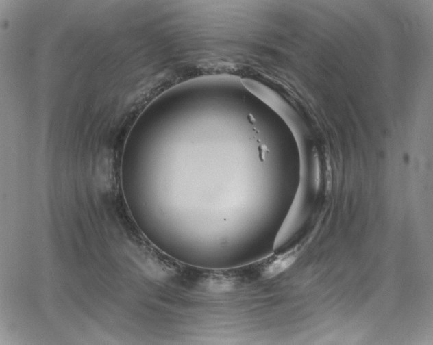 X0000068310416200604211209