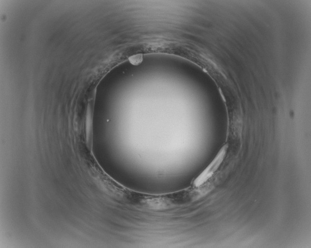 X0000068310417200604211209