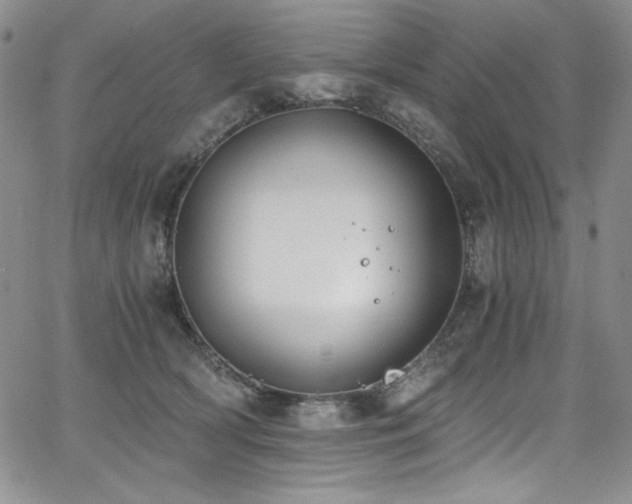 X0000068310418200604211209