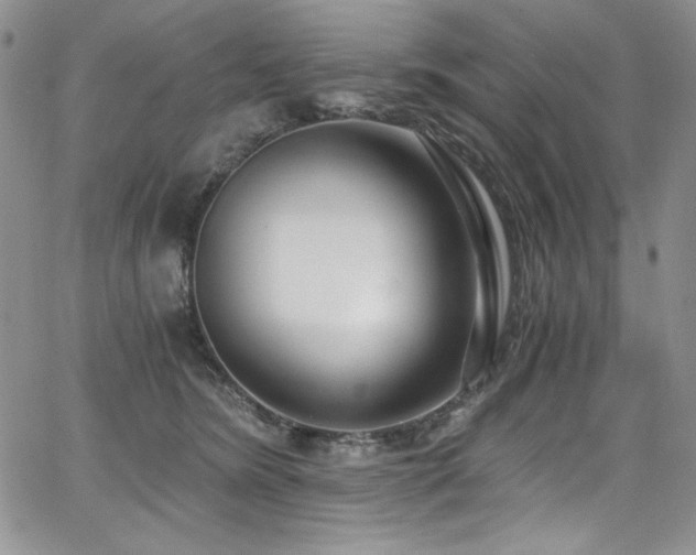 X0000068310420200604211209