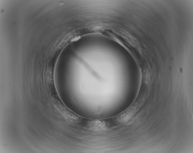 X0000068310421200604211209