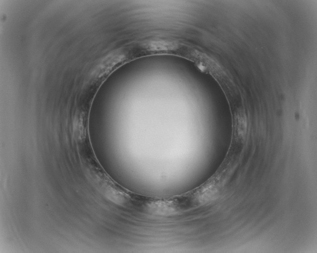 X0000068310422200604211209