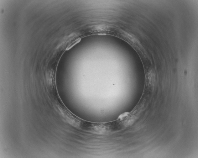 X0000068310423200604211209