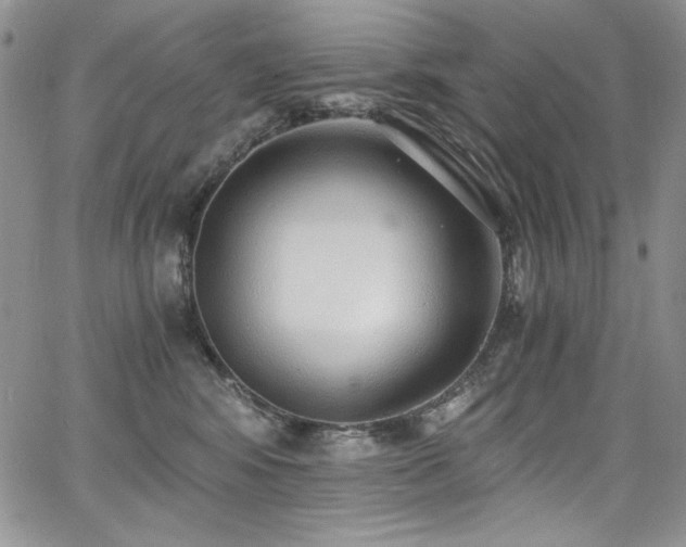 X0000068310424200604211209