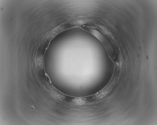 X0000068310425200604211209