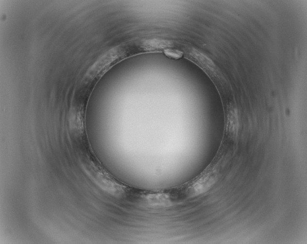 X0000068310426200604211209