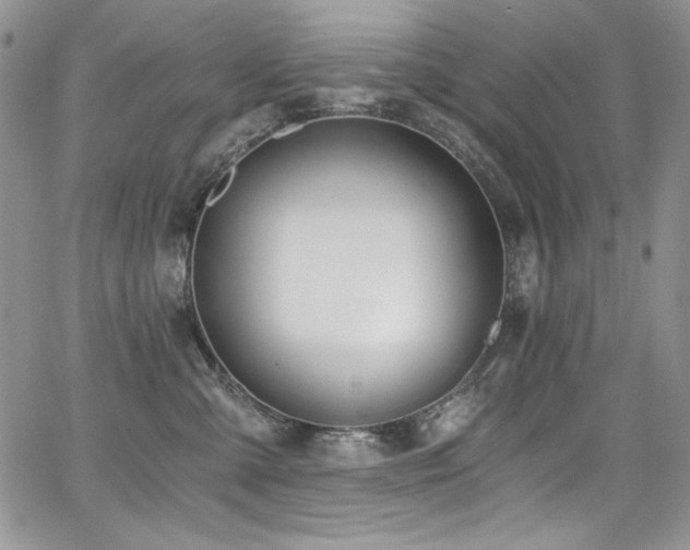 X0000068310427200604211209