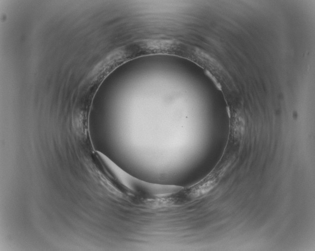 X0000068310428200604211209