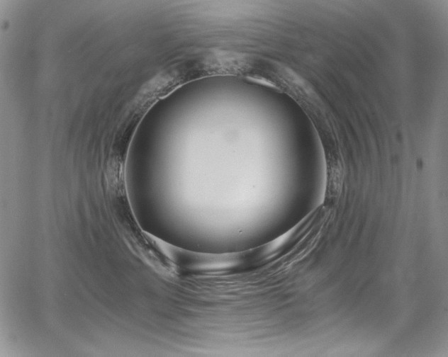 X0000068310429200604211209