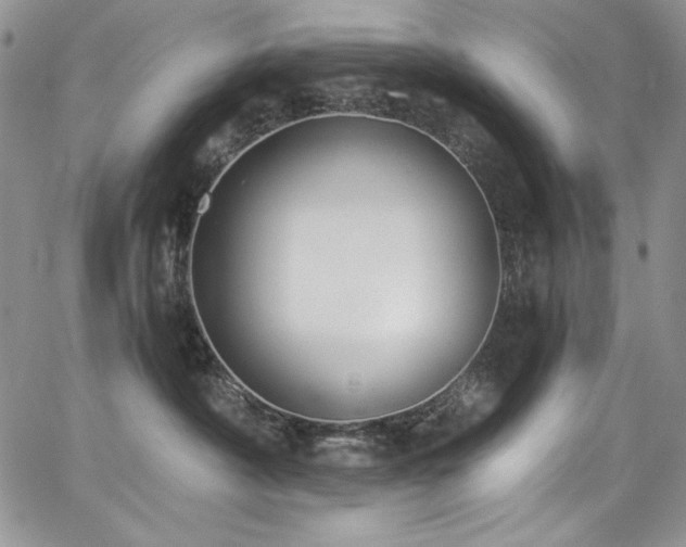 X0000068310430200604211209