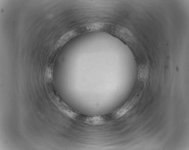 X0000068310431200604211209