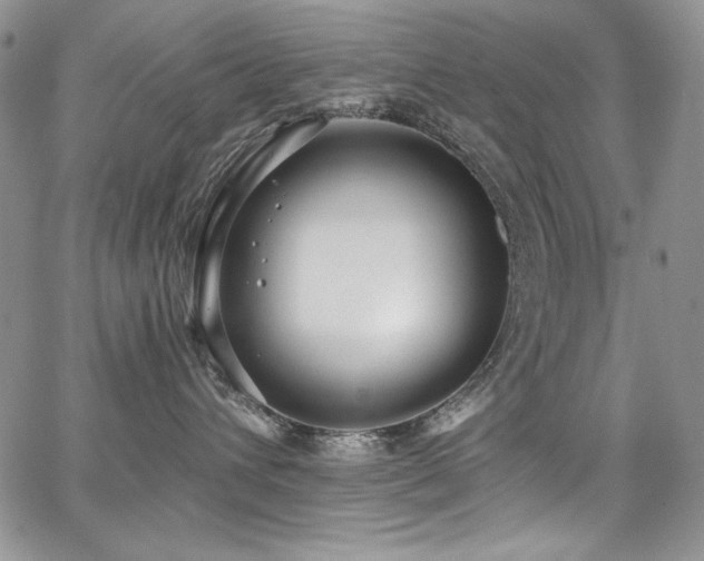 X0000068310432200604211209