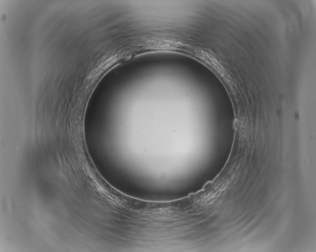 X0000068310433200604211208