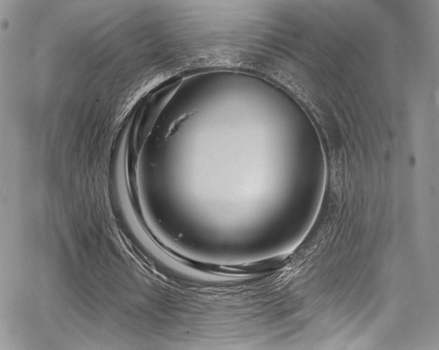 X0000068310434200604211208