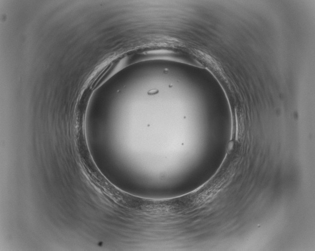 X0000068310435200604211208