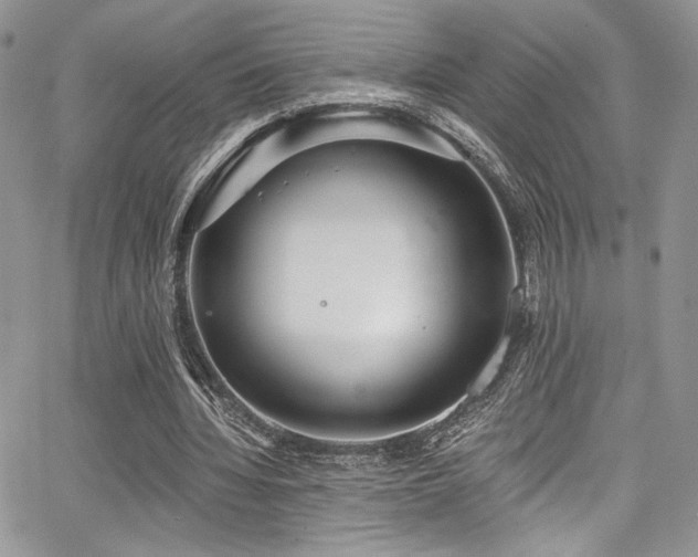 X0000068310436200604211208