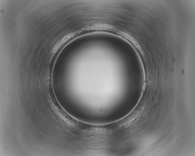 X0000068310437200604211208