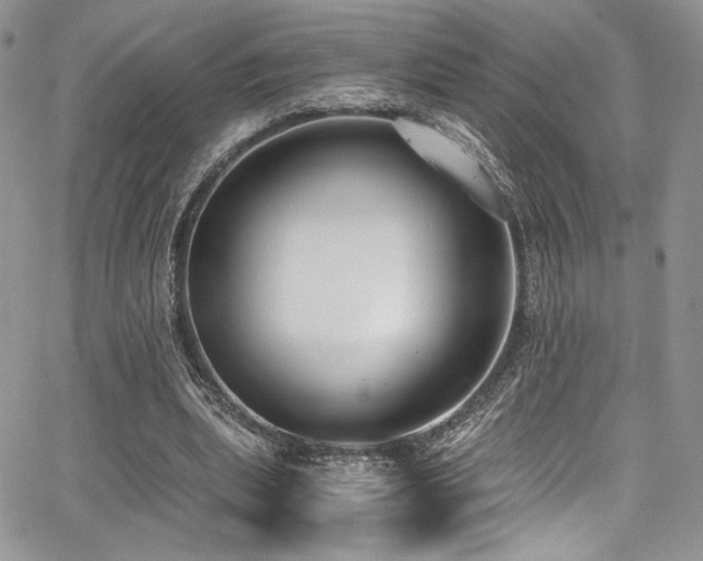 X0000068310439200604211208