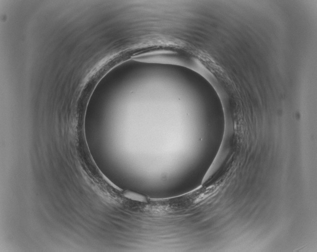 X0000068310440200604211208