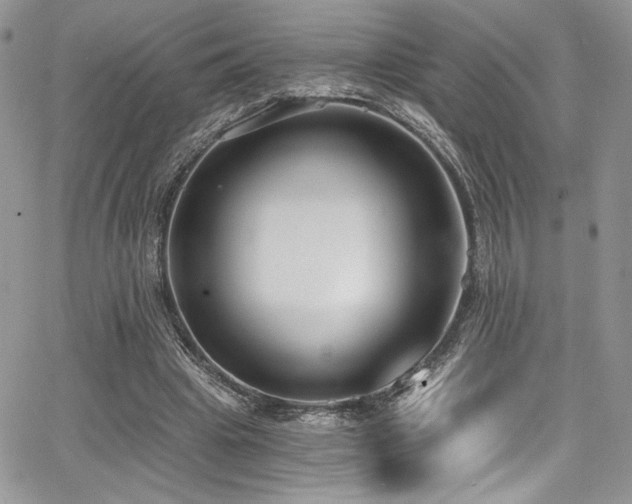 X0000068310441200604211208