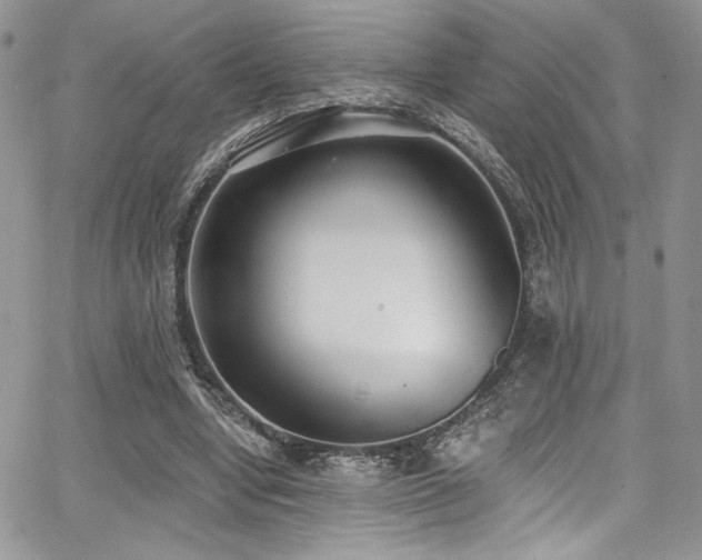 X0000068310442200604211208