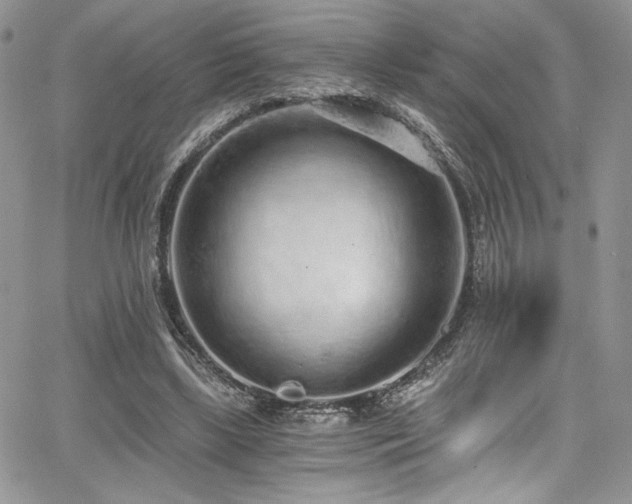 X0000068310443200604211208