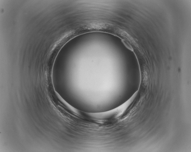 X0000068310444200604211208