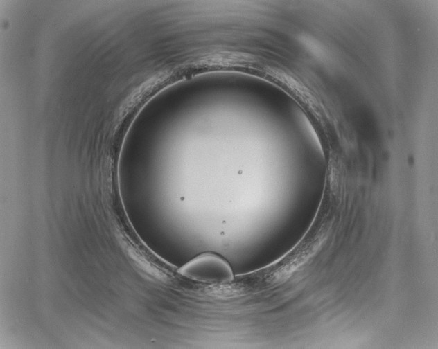 X0000068310445200604211208