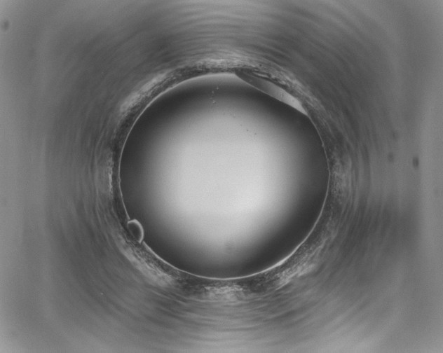 X0000068310446200604211208