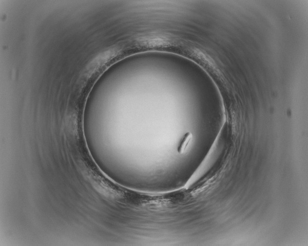 X0000068310447200604211208