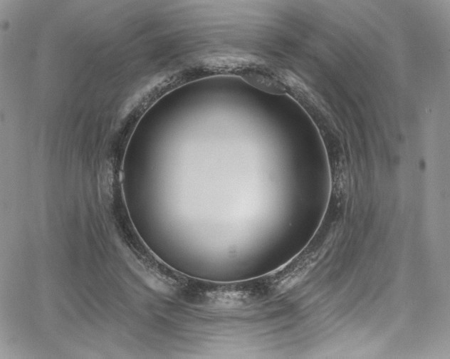 X0000068310448200604211208