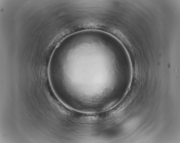 X0000068310449200604211208