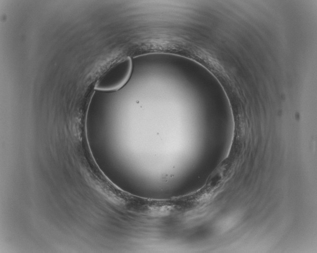 X0000068310450200604211208