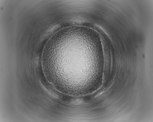 X0000068310451200604211208