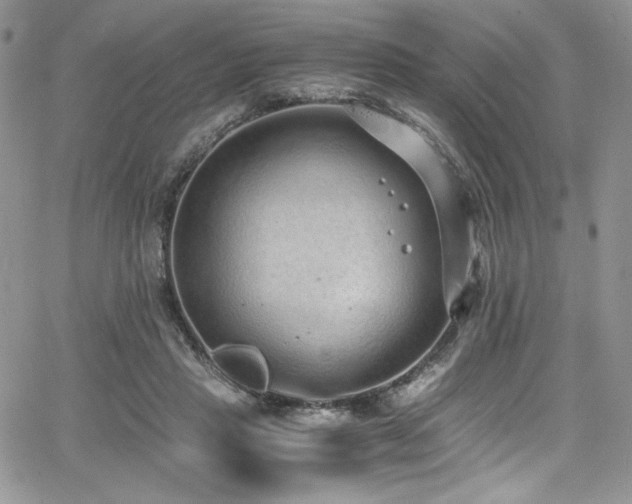 X0000068310453200604211208