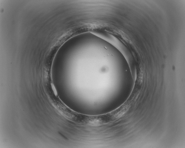 X0000068310456200604211208