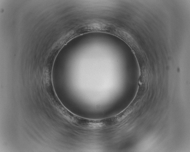 X0000068310457200604211208