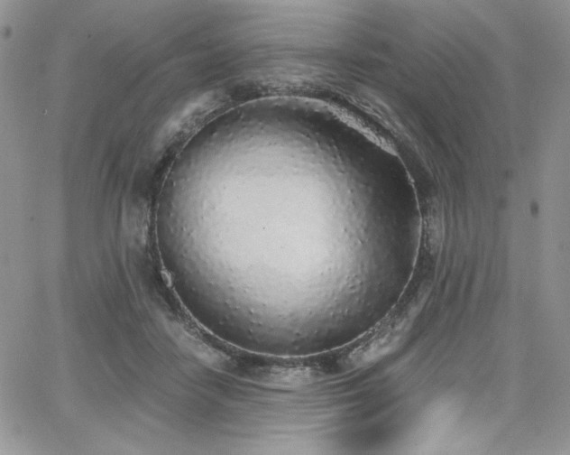 X0000068310458200604211208