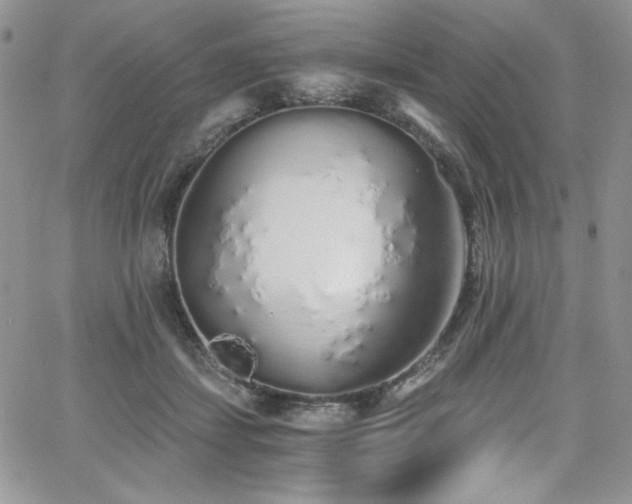 X0000068310459200604211208