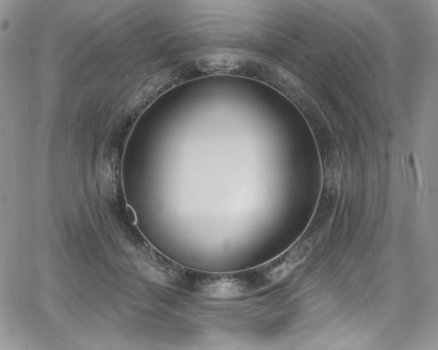 X0000068310460200604211208