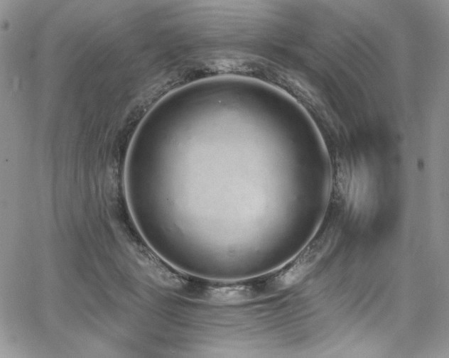 X0000068310461200604211208