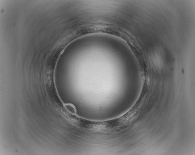 X0000068310462200604211208