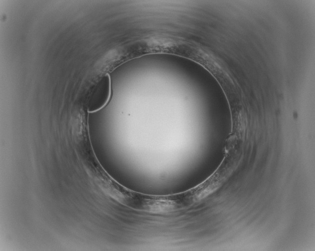 X0000068310463200604211208