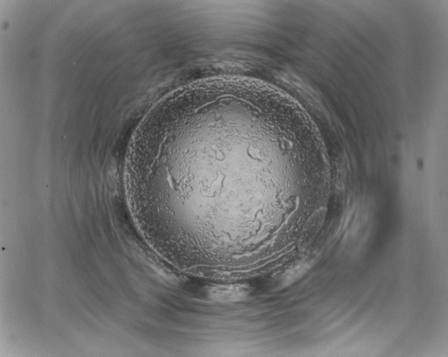 X0000068310465200604211208