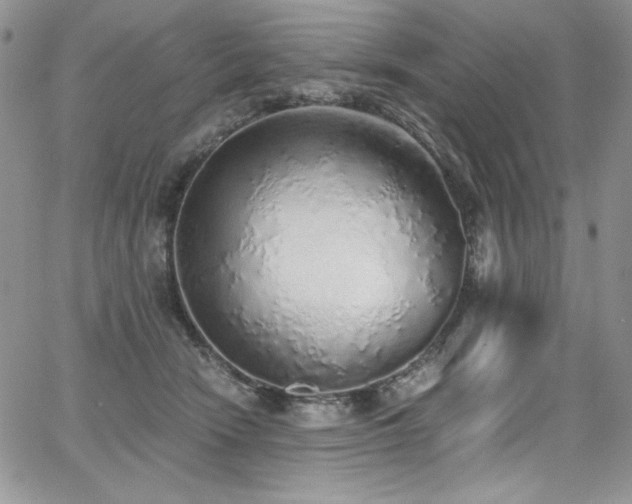 X0000068310466200604211208