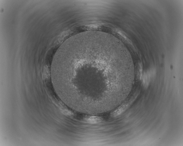 X0000068310467200604211208