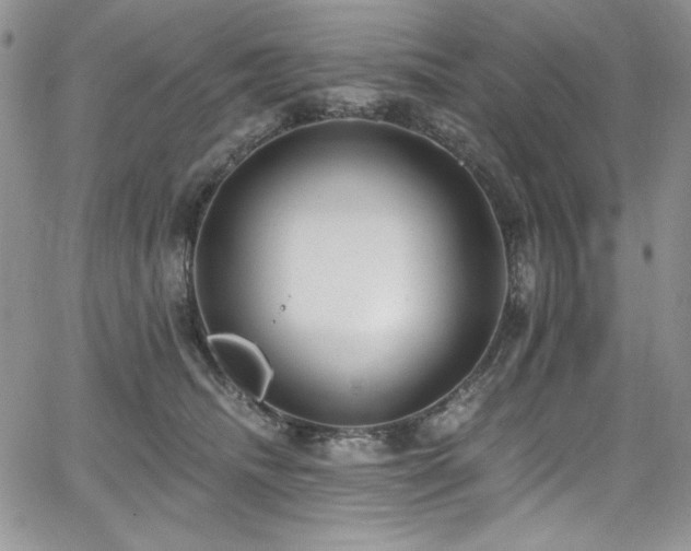 X0000068310468200604211208